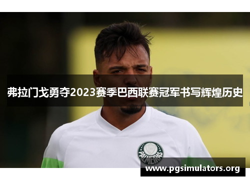 弗拉门戈勇夺2023赛季巴西联赛冠军书写辉煌历史 弗拉门戈勇夺2023赛季巴西联赛冠军书写辉煌历史