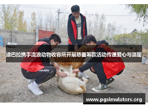 迪巴拉携手流浪动物收容所开展慈善筹款活动传递爱心与温暖 迪巴拉携手流浪动物收容所开展慈善筹款活动传递爱心与温暖