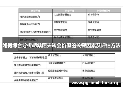 如何综合分析胡桑诺夫转会价值的关键因素及评估方法