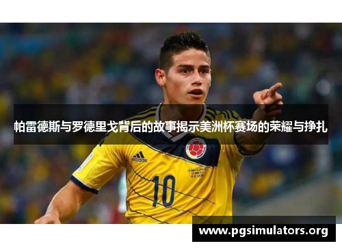 帕雷德斯与罗德里戈背后的故事揭示美洲杯赛场的荣耀与挣扎 帕雷德斯与罗德里戈背后的故事揭示美洲杯赛场的荣耀与挣扎