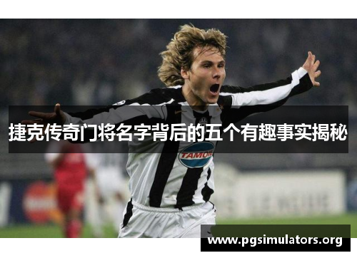 捷克传奇门将名字背后的五个有趣事实揭秘 捷克传奇门将名字背后的五个有趣事实揭秘