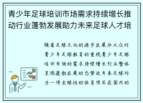 青少年足球培训市场需求持续增长推动行业蓬勃发展助力未来足球人才培养 青少年足球培训市场需求持续增长推动行业蓬勃发展助力未来足球人才培养