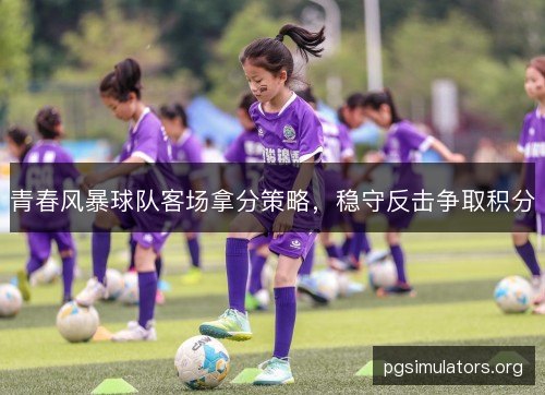 青春风暴球队客场拿分策略，稳守反击争取积分